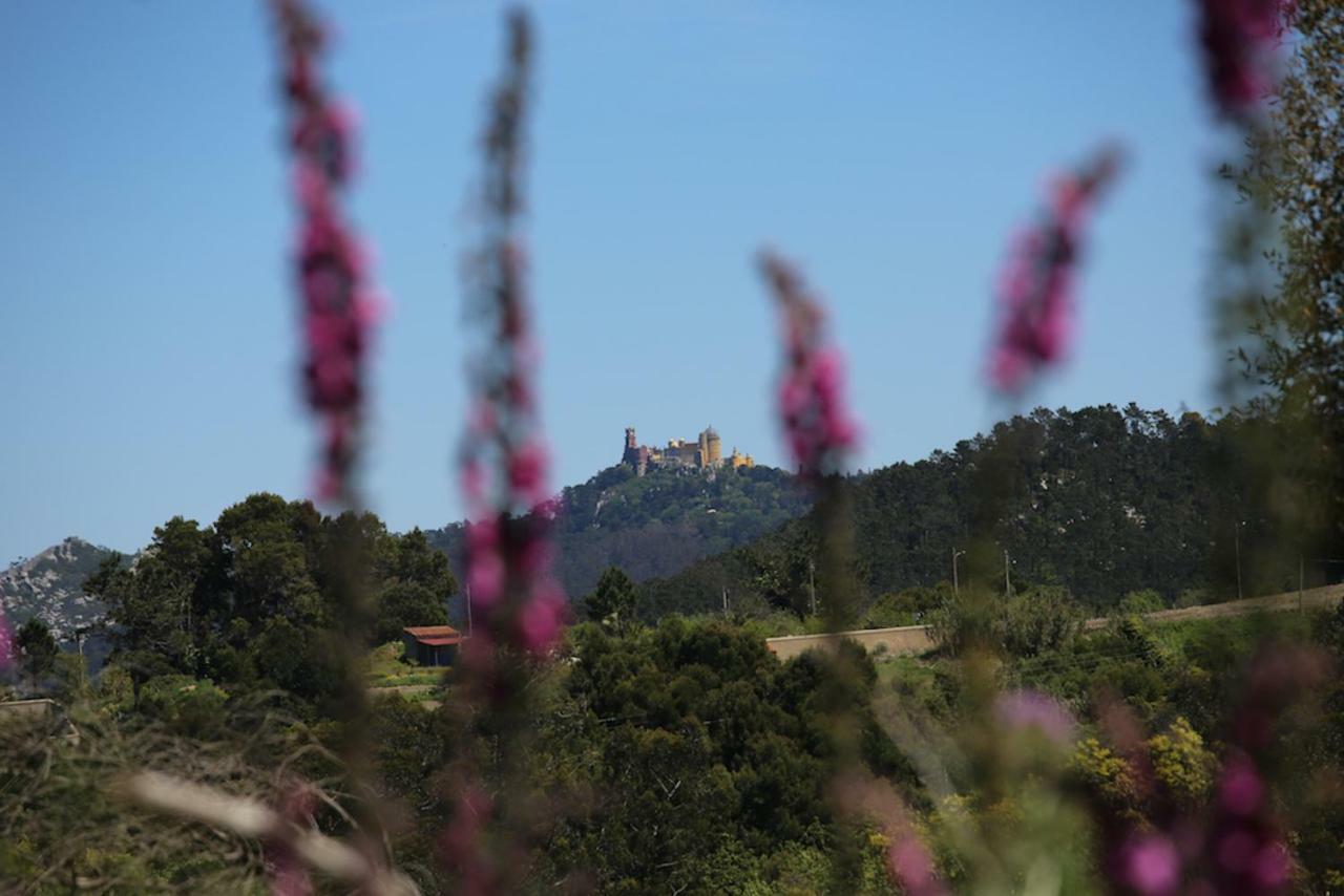 A House In The Woods Villa Sintra Exterior foto