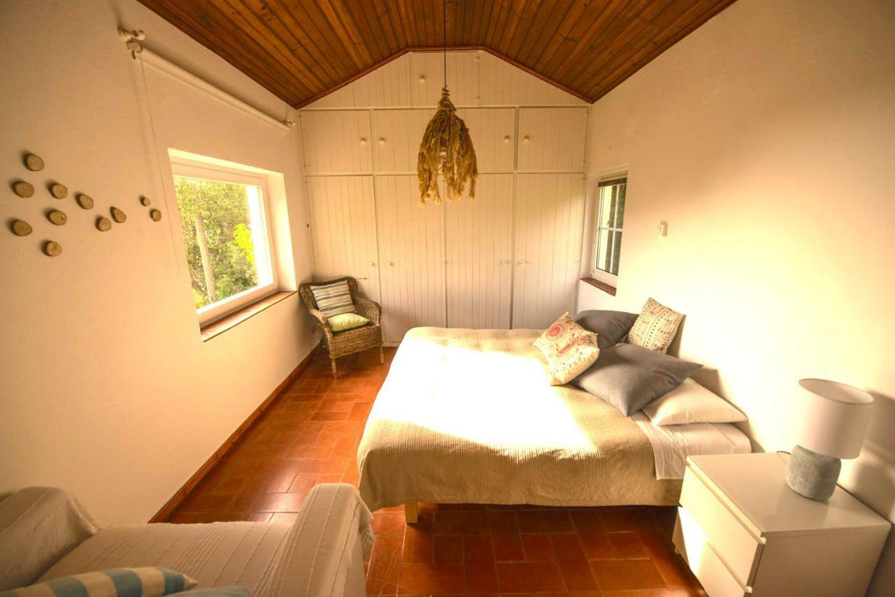 A House In The Woods Villa Sintra Exterior foto
