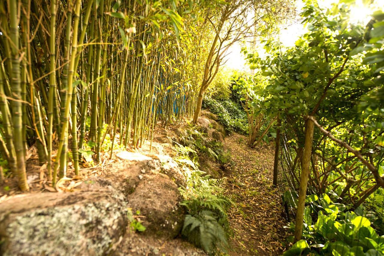 A House In The Woods Villa Sintra Exterior foto